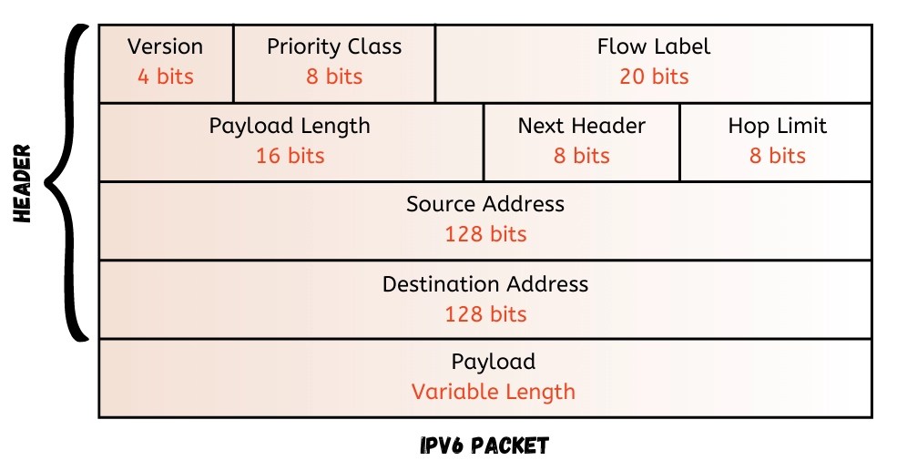 What are Payloads? Coding Ninjas