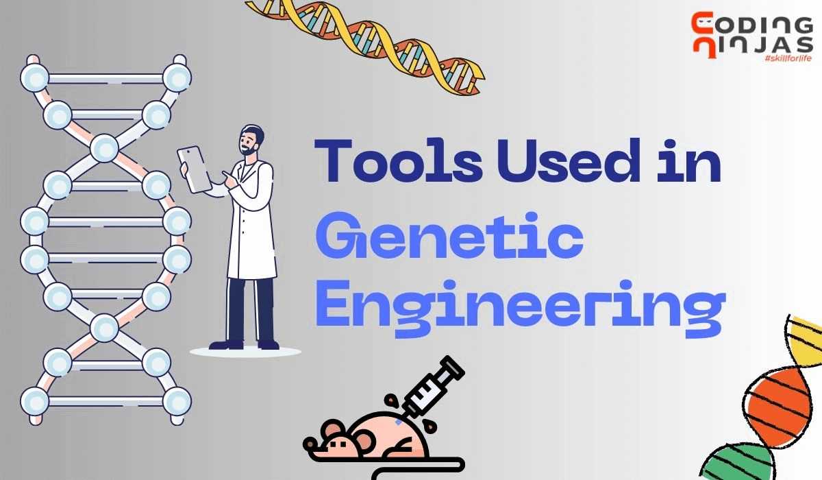 Tools Used in Engineering Coding Ninjas