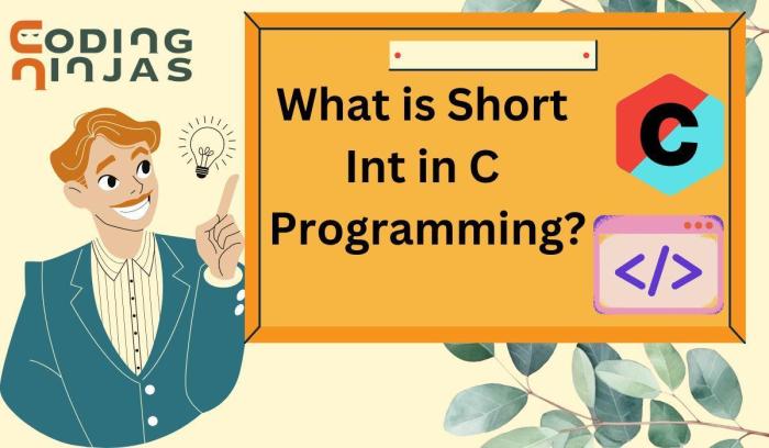 What is Short ๎Int๎ in C Programming? - Coding Ninjas What is Short ๎Int๎ in C Programming? - Coding Ninjas