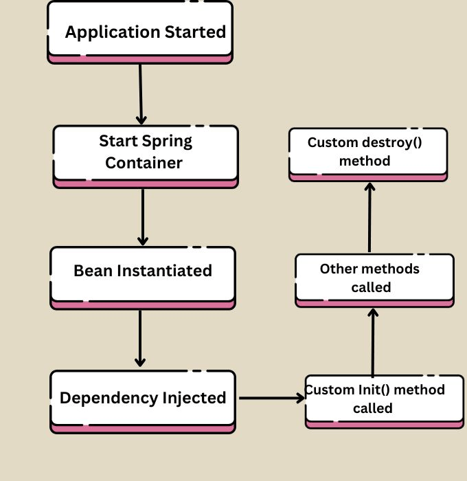 Spring Bean Life Cycle Coding Ninjas