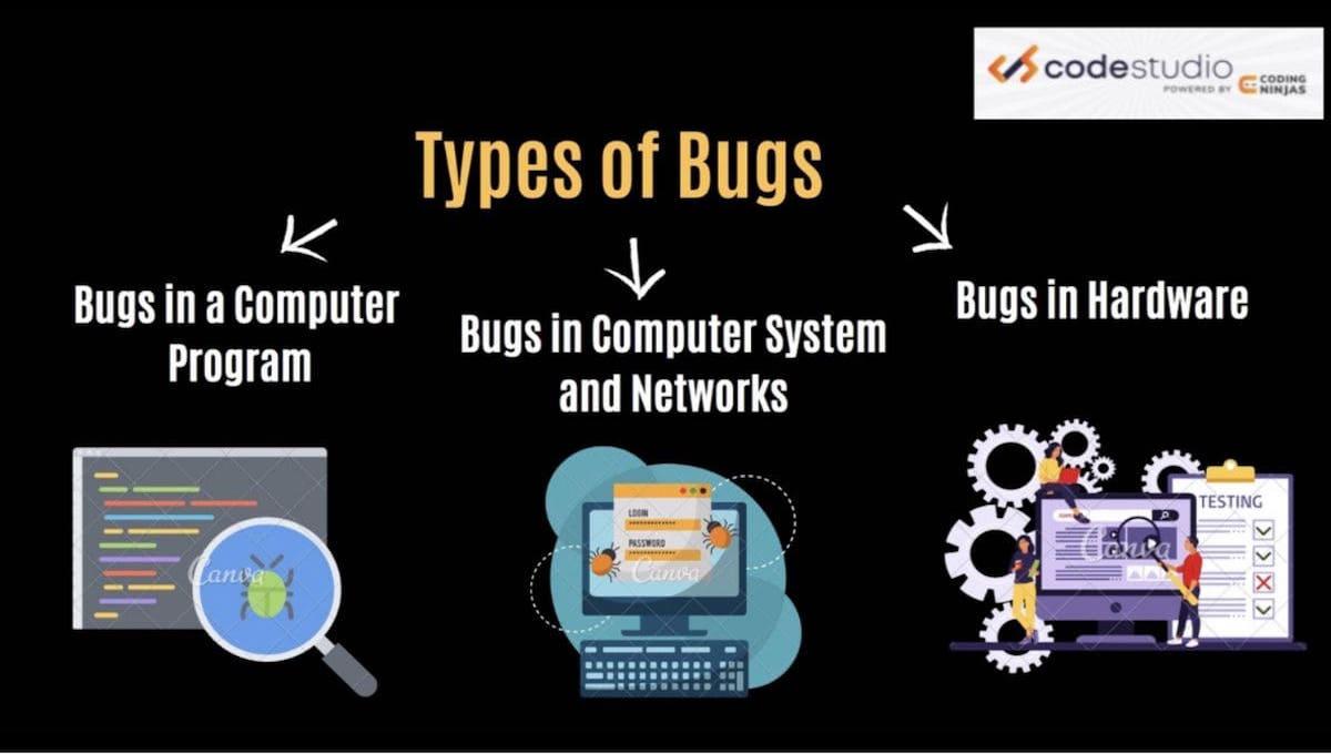 Difference Between Bugs and Errors Naukri Code 360