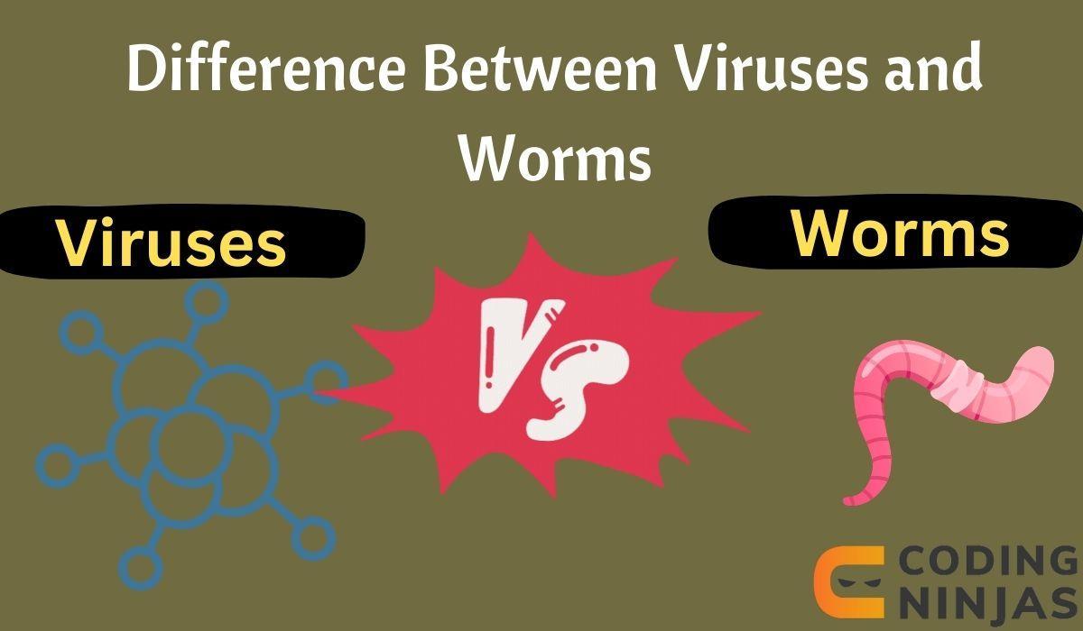 Difference Between Viruses and Worms Coding Ninjas