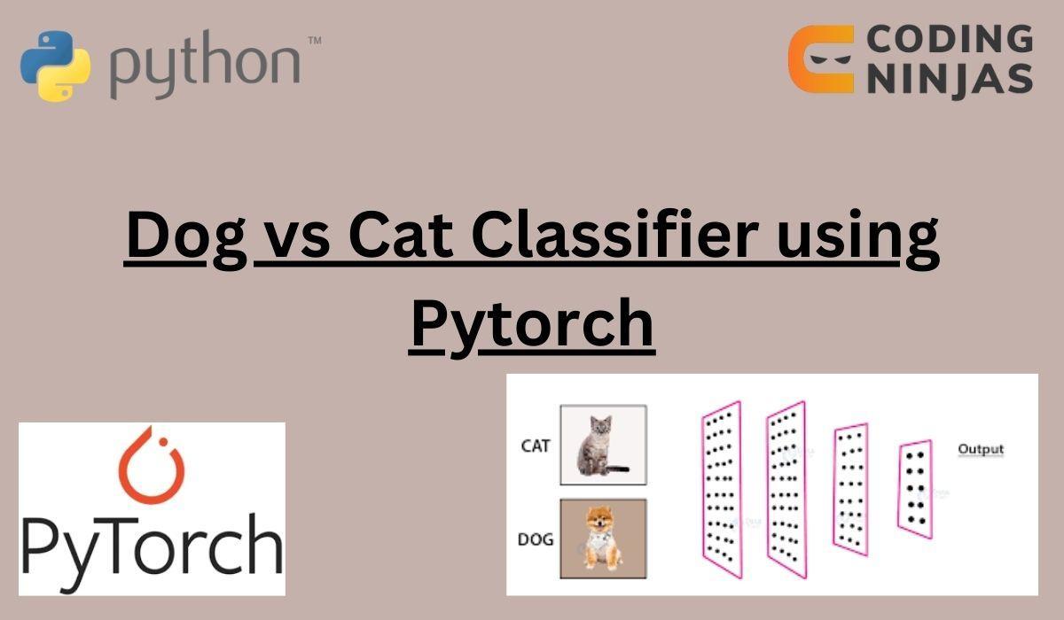 Dog vs Cat Classifier using Pytorch Coding Ninjas