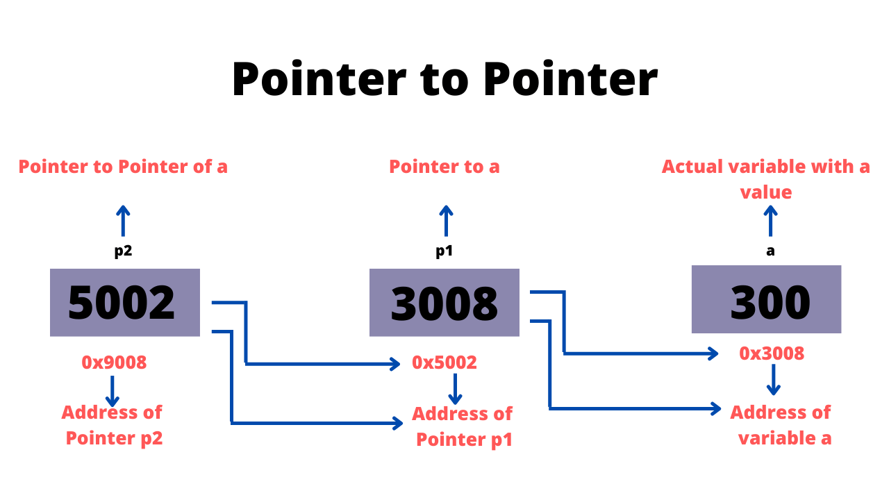 Double pointer in Go Coding Ninjas
