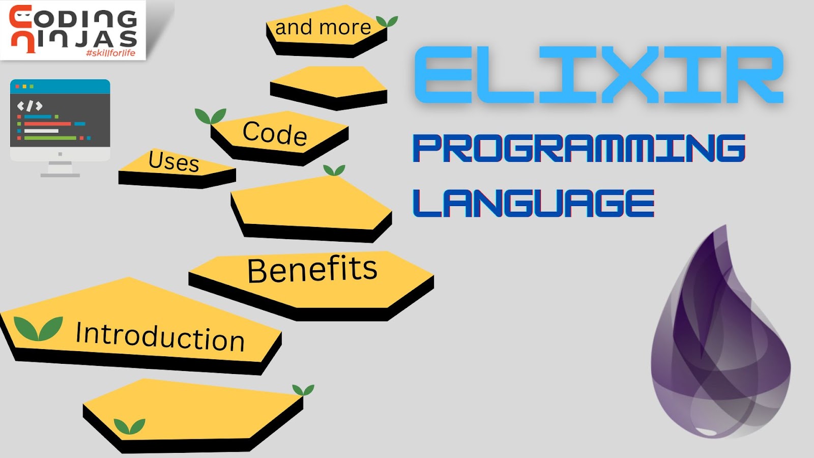 Elixir Programming Language Coding Ninjas