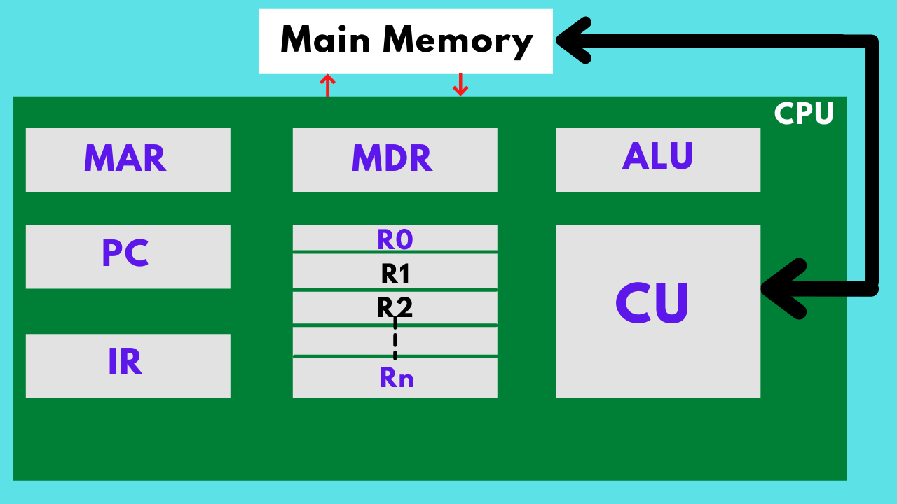 General register organization Coding Ninjas