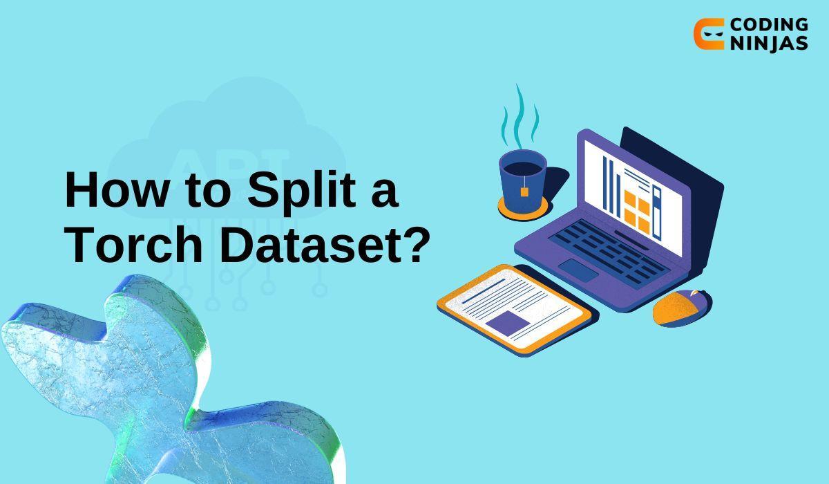 How to Split a Torch Dataset Coding Ninjas