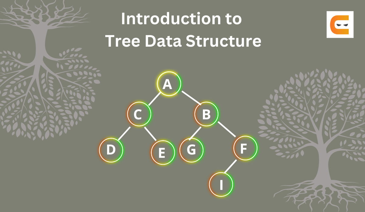 Introduction to Tree Data Structure Coding Ninjas