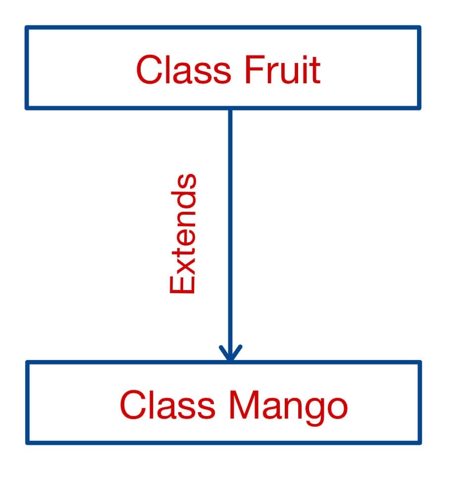 IsA Relationship in Java Coding Ninjas
