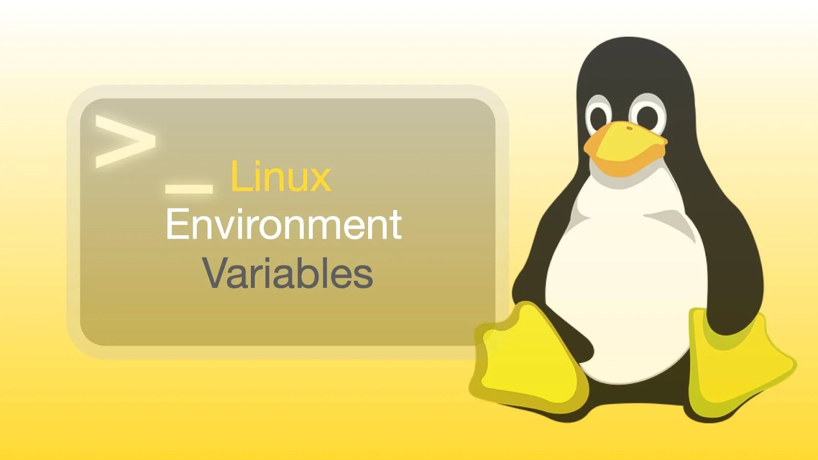 Linux Environment Coding Ninjas