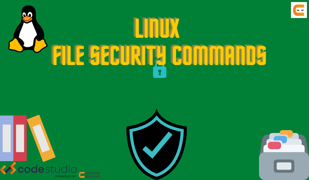 Linux File Security Coding Ninjas