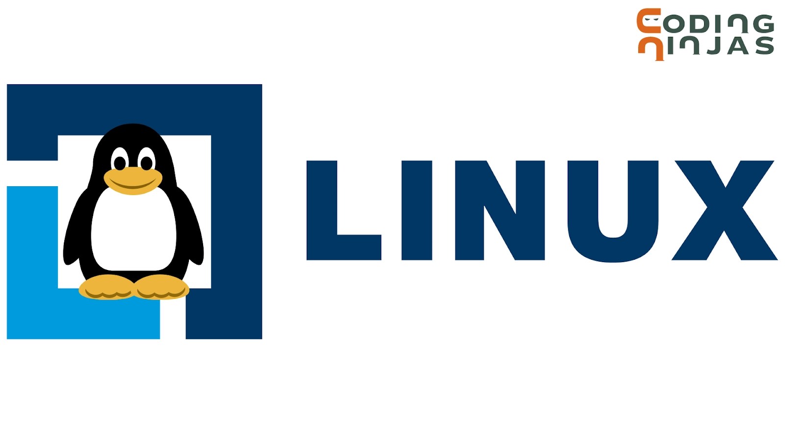 Linux, filters, Linux Filter Coding Ninjas