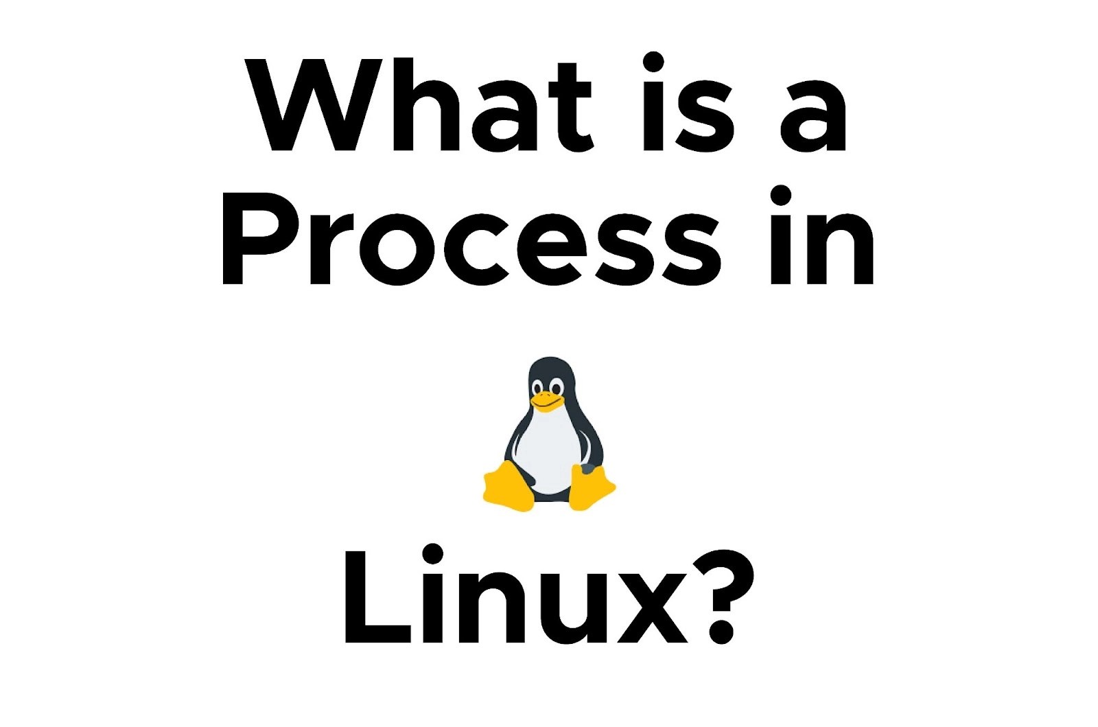 Linux, process Coding Ninjas