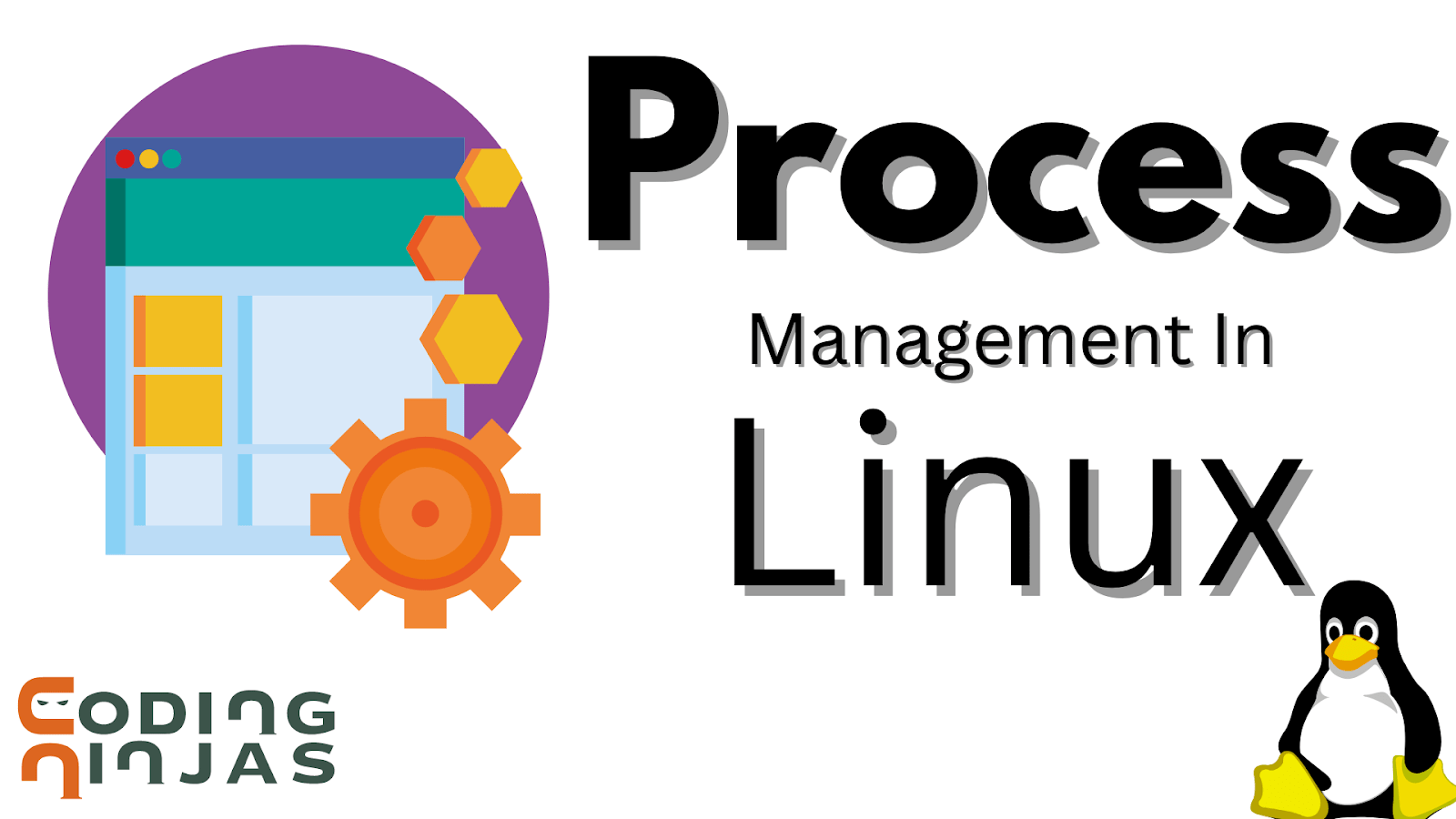 Linux, process Coding Ninjas