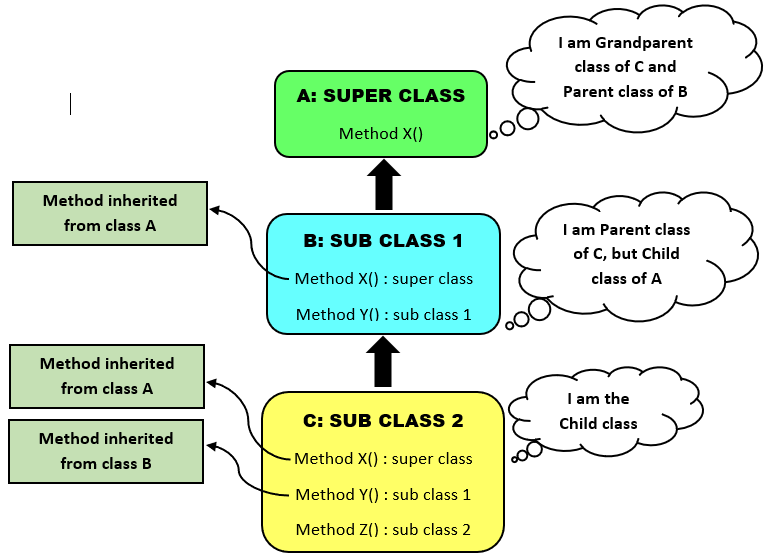 Multilevel Inheritance in Java Coding Ninjas