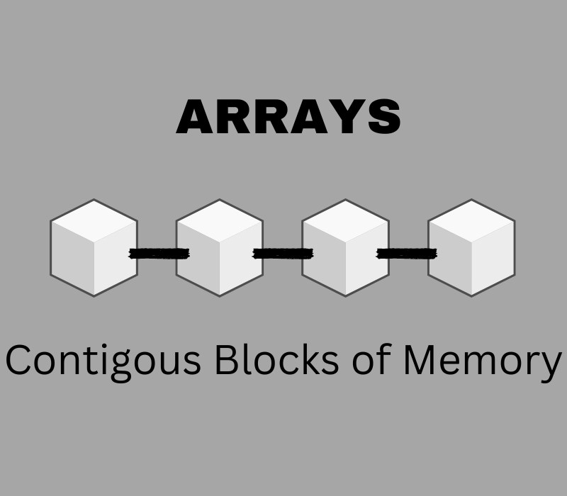 Non Primitive Data Types in Java Coding Ninjas