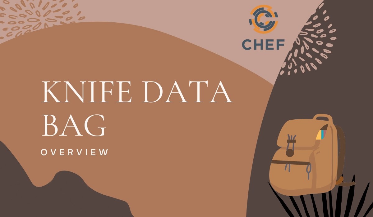 Knife data bag Coding Ninjas