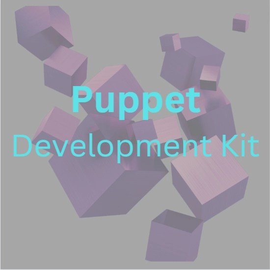 Puppet Development Kit Coding Ninjas