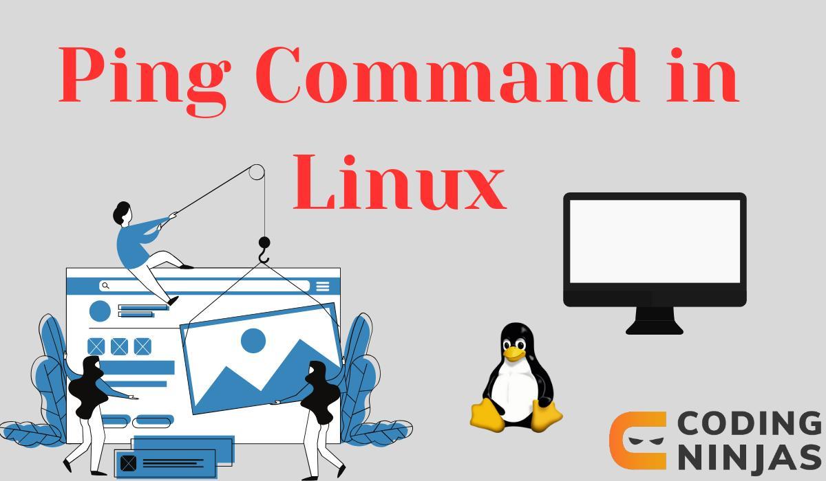 Linux ping Command Naukri Code 360