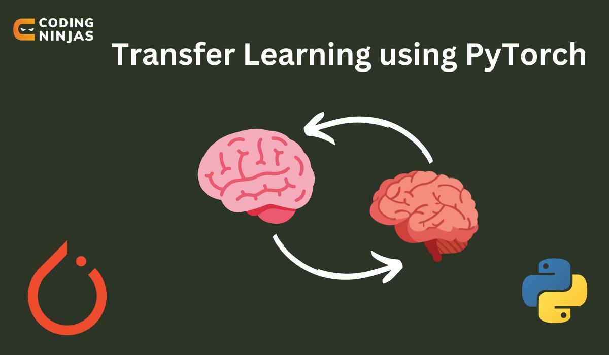 Transfer Learning using PyTorch Coding Ninjas