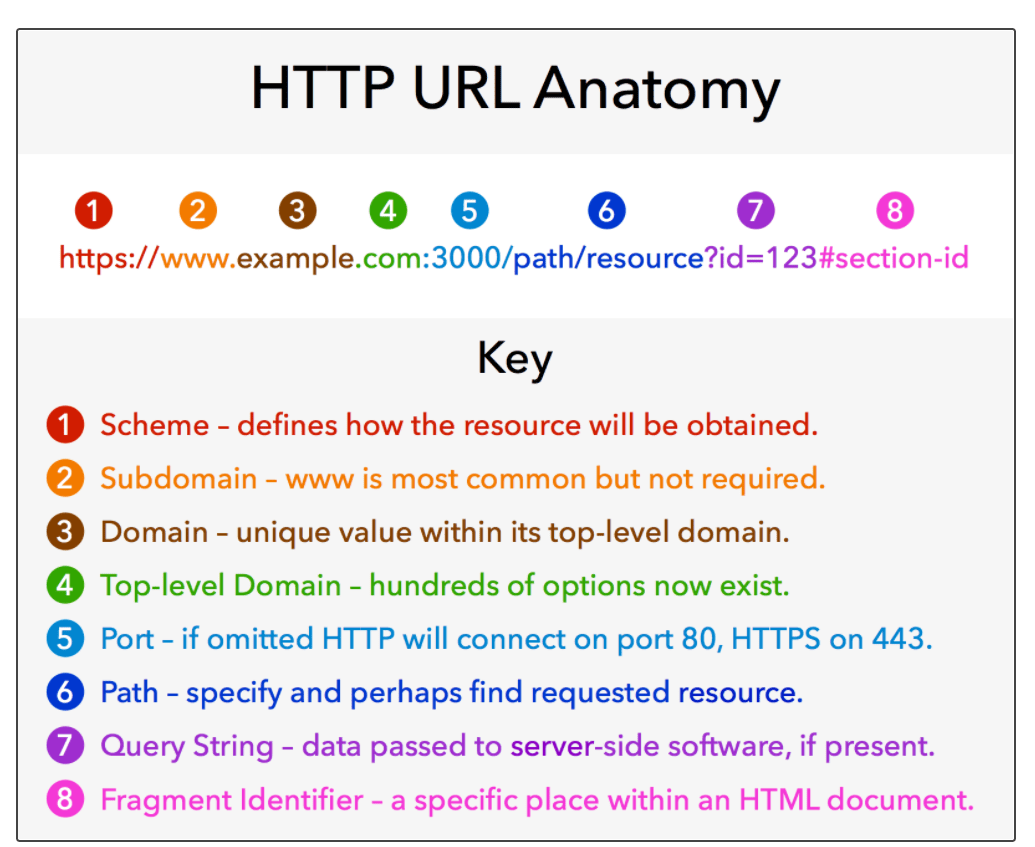 Uniform Resource Locator (URLs) in HTML Coding Ninjas CodeStudio