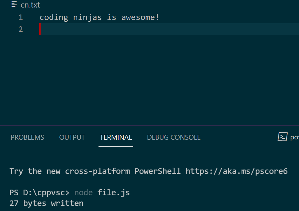 File Descriptors Coding Ninjas