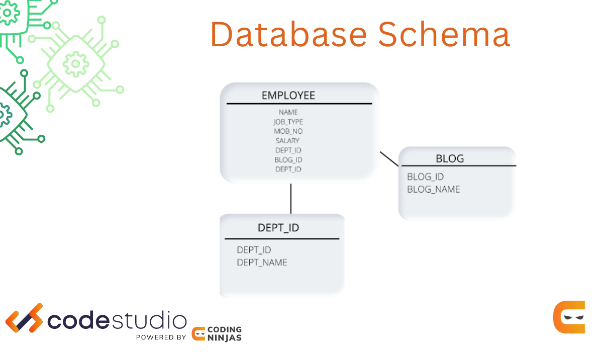 What is database Schema Coding Ninjas CodeStudio