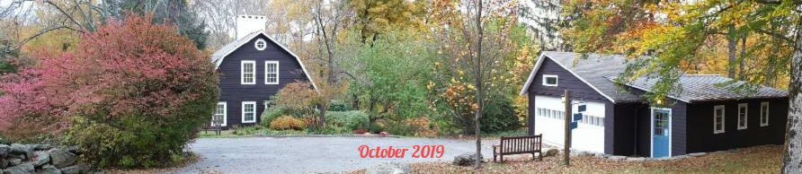Stepping Stones Diary Quick Updates & Opportunities from Bill & Lois
