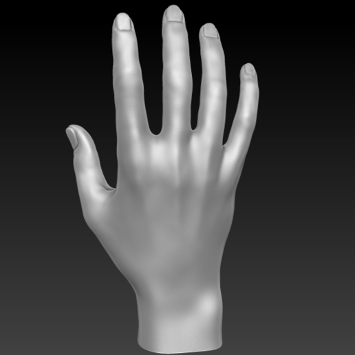 Download STL file Hand • Object to 3D print ・ Cults