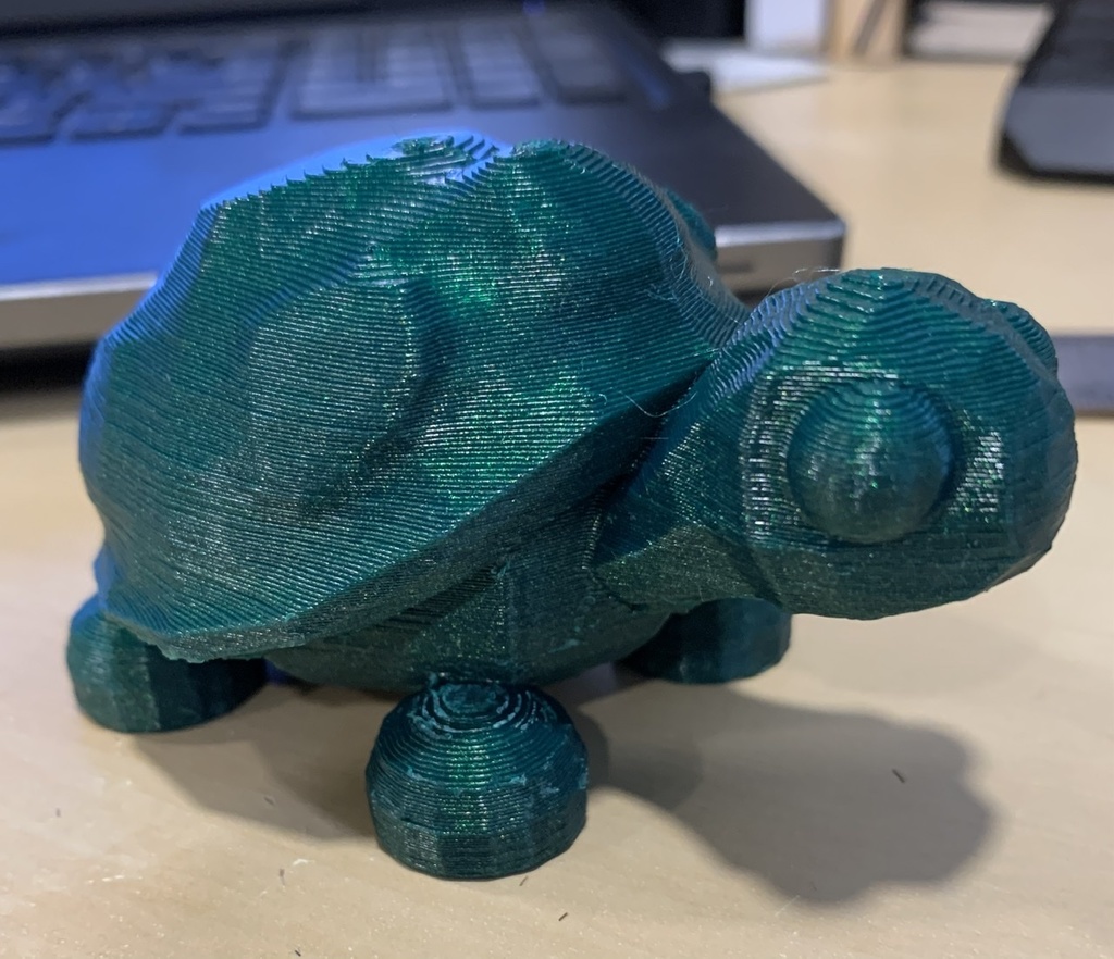 Free 3D file Adopt Me Turtle Cleaned 🐢・3D printable design to
