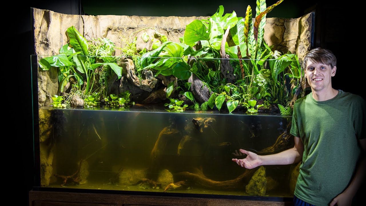 Planting the 350 Gallon Paludarium (Build Part 2) Custom Aquariums