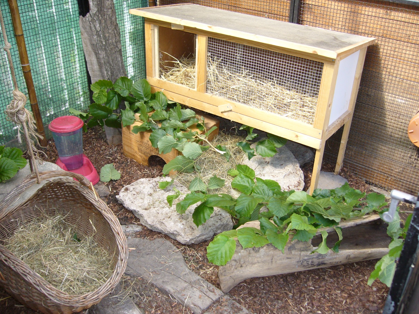 Ferienplätze für Kaninchen und Meerschweinchen