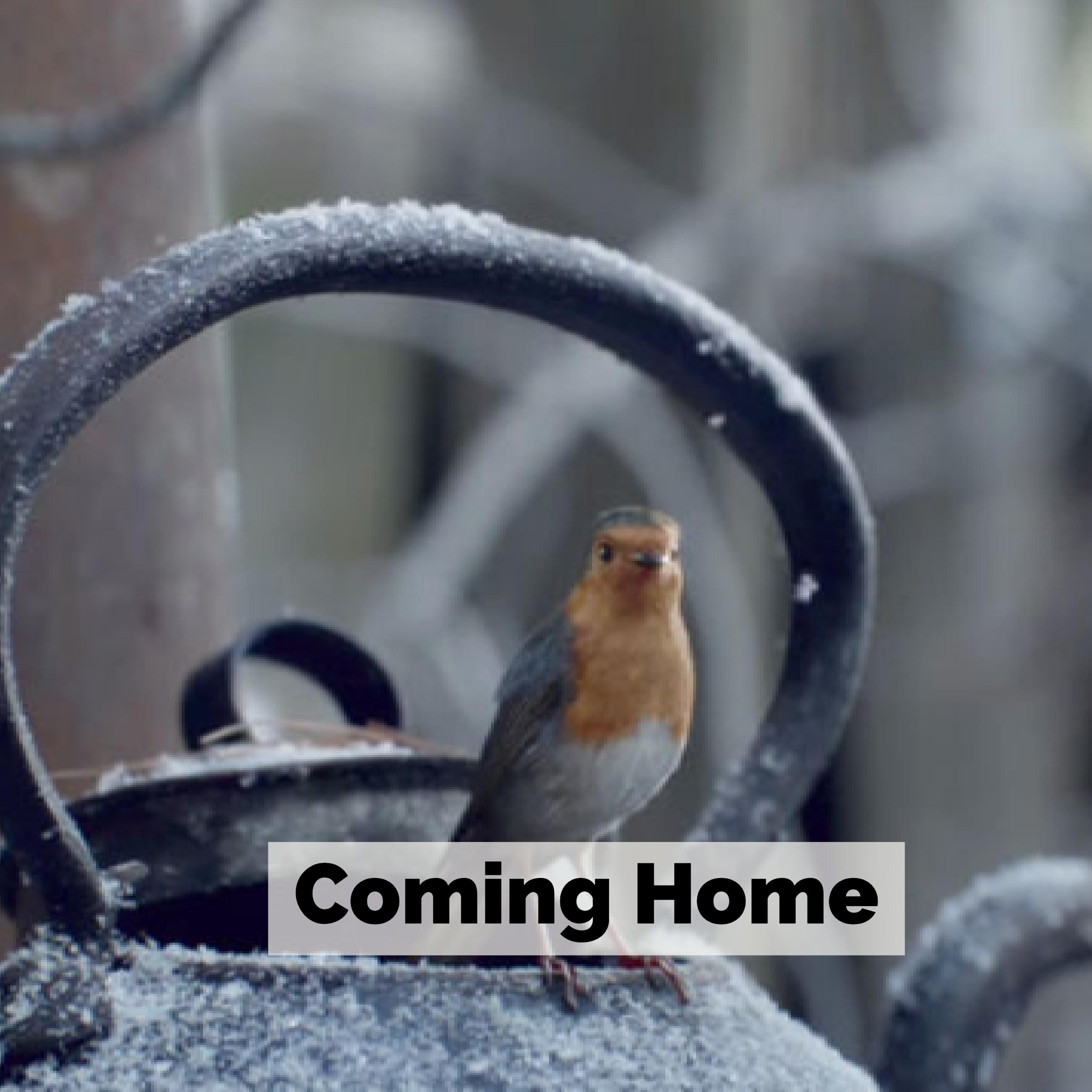 Literacy Shed Plus Literacy Shed Plus Teaching Resources Made Easy