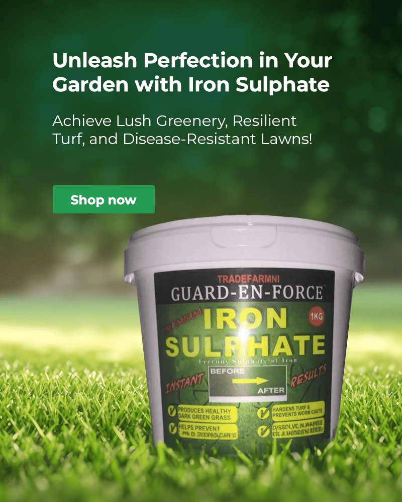 Buy Iron Sulphate Moss Killer Online Sulphate of iron for Lawns