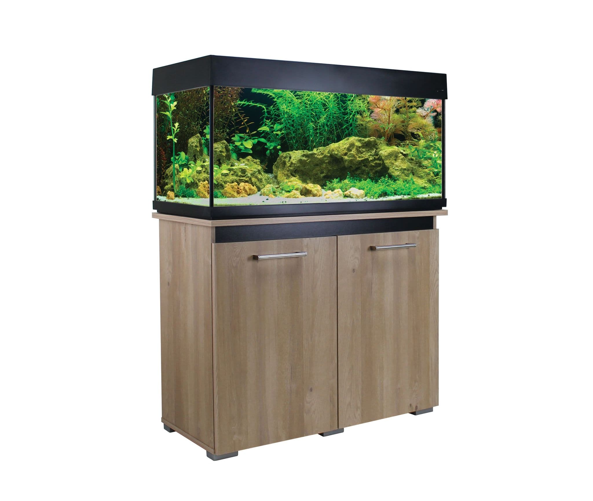 Beginner's Guide to Setting Up Your First Aquarium