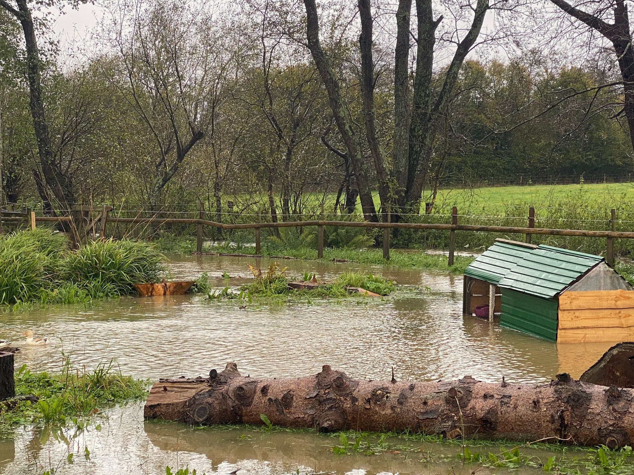 A Day in the Life at East Sussex Smallholders Beyond Our