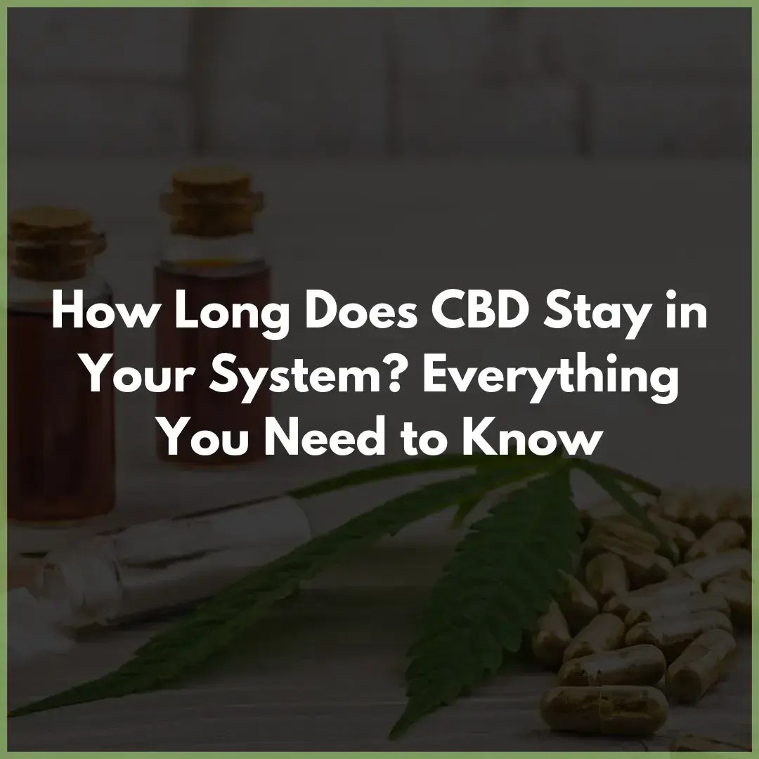 How Long Does CBD Stay in Your System? Everything You Need to Know
