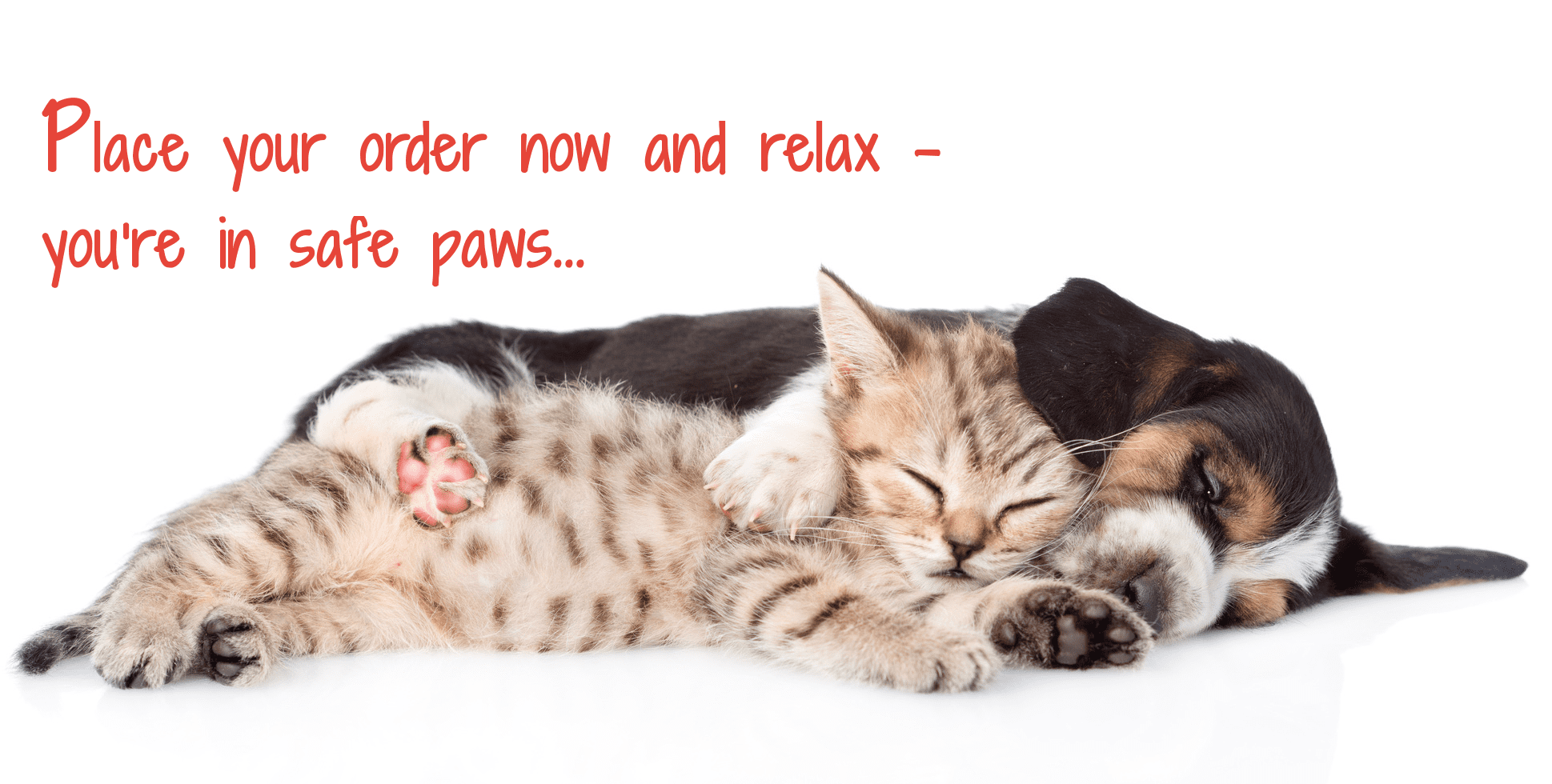 Eden pet food Eden dog food Eden cat food Free Delivery