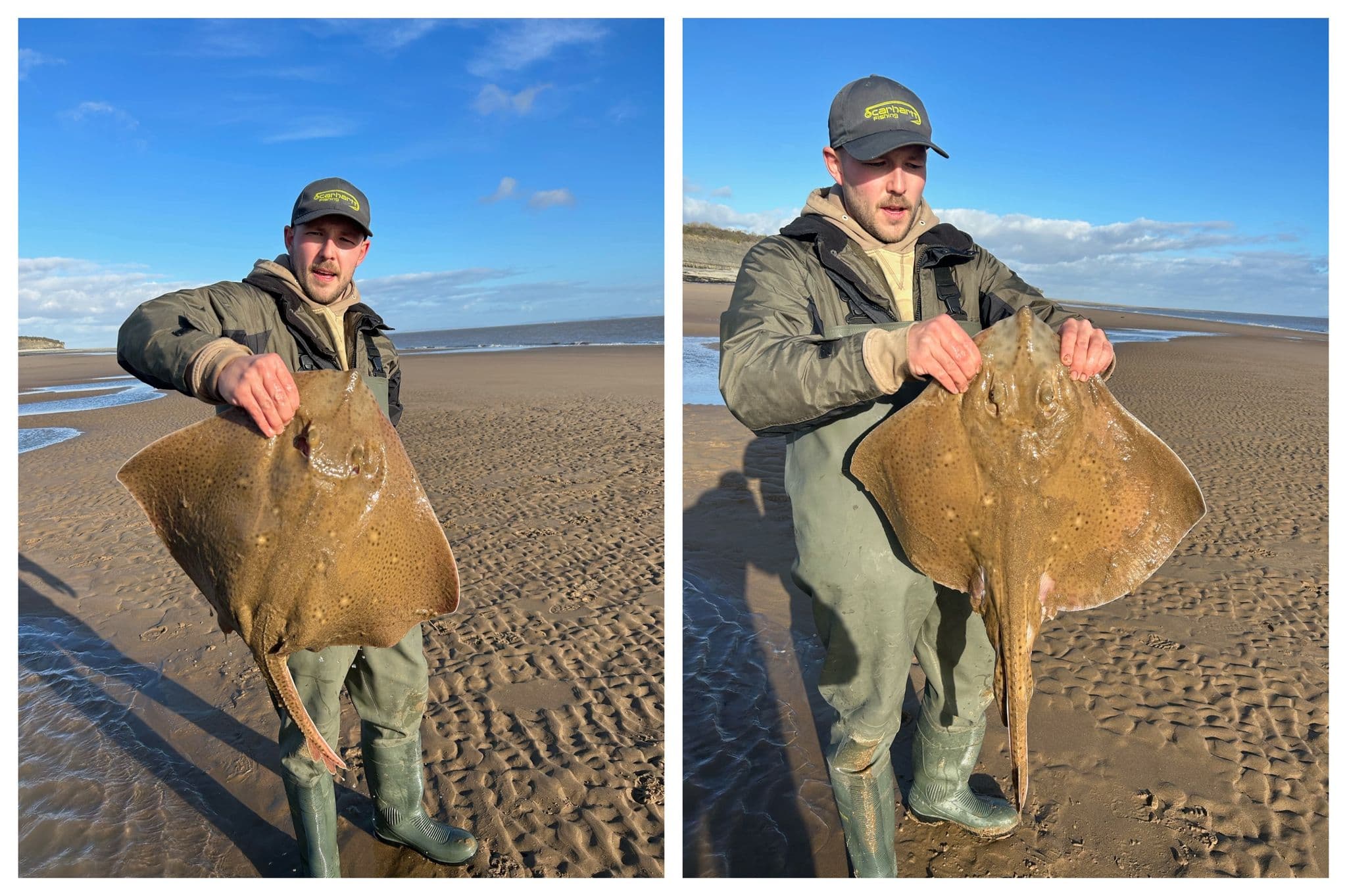 November 2023 Catch Report