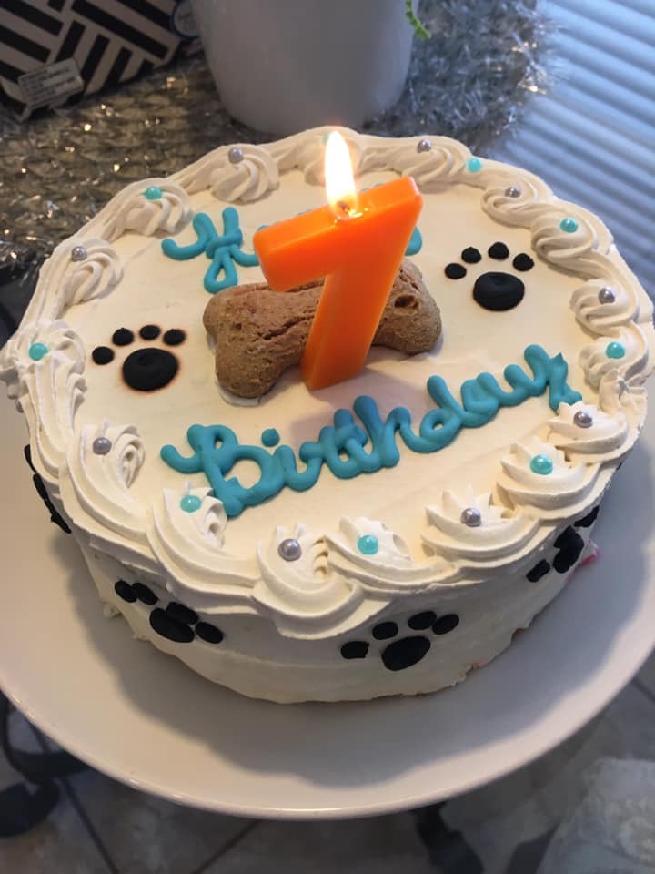 Dog Bakery For Pets Dog Cakes & Treats In Las Vegas At