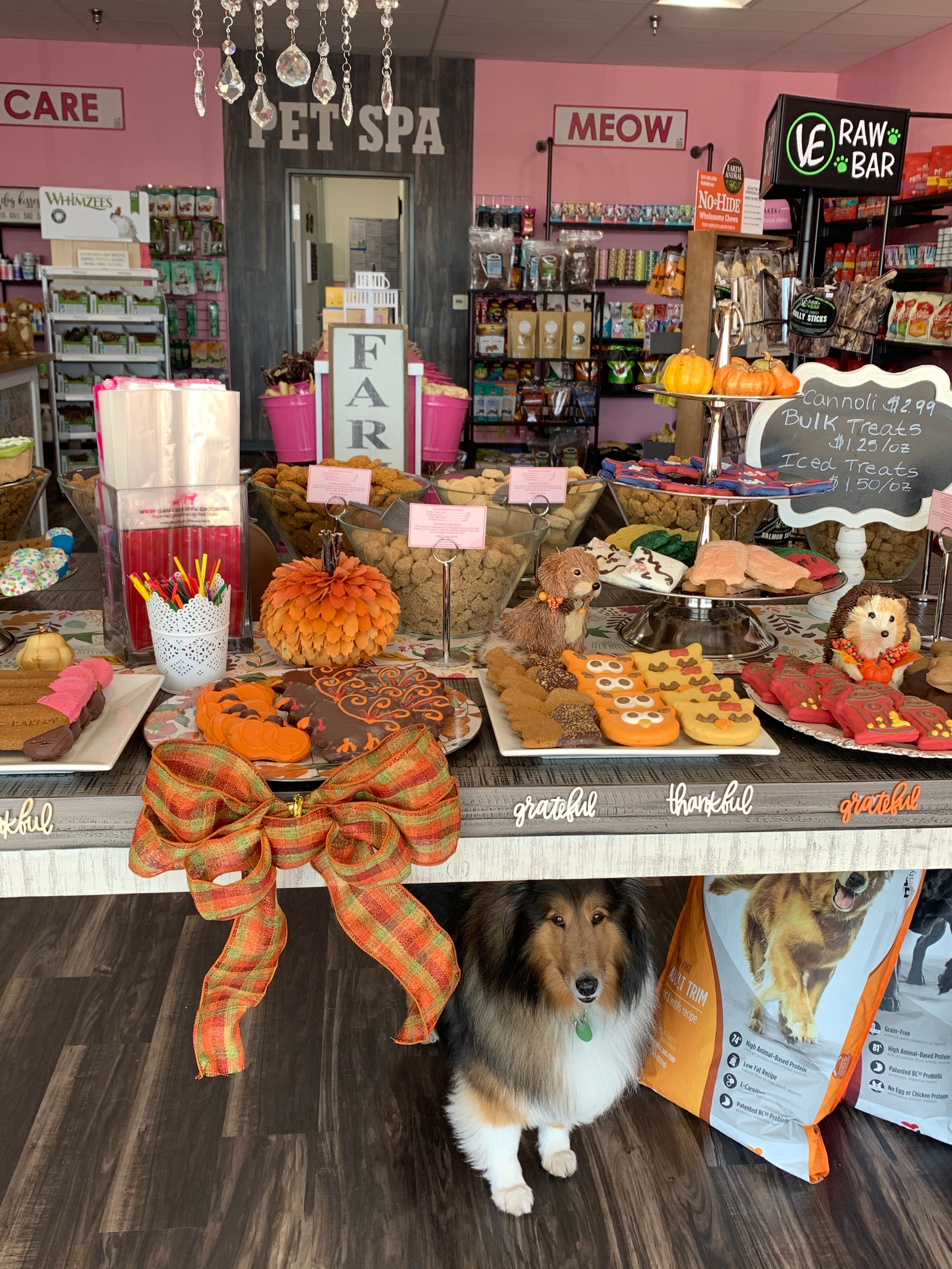 Dog Bakery For Pets Dog Cakes & Treats In Boulder At Woof Gang Bakery