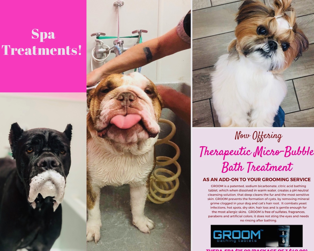 Pet Grooming Salon Cat & Dog Grooming Spa In Las Vegas