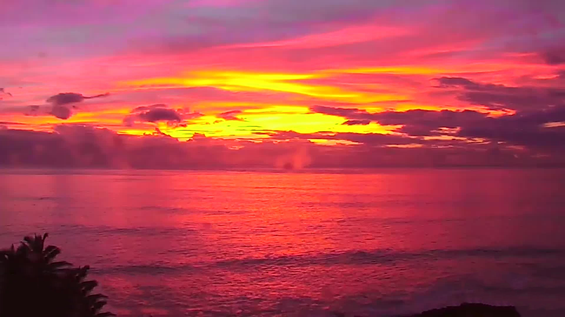 Turtle Bay Sunset Cam watch sunsets from Oahu, Hawaii