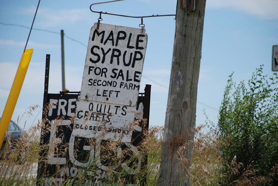 March Maple Syrup Madness! Explore Waterloo Region