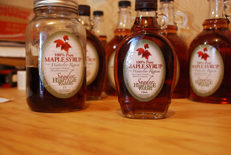 March Maple Syrup Madness! Explore Waterloo Region