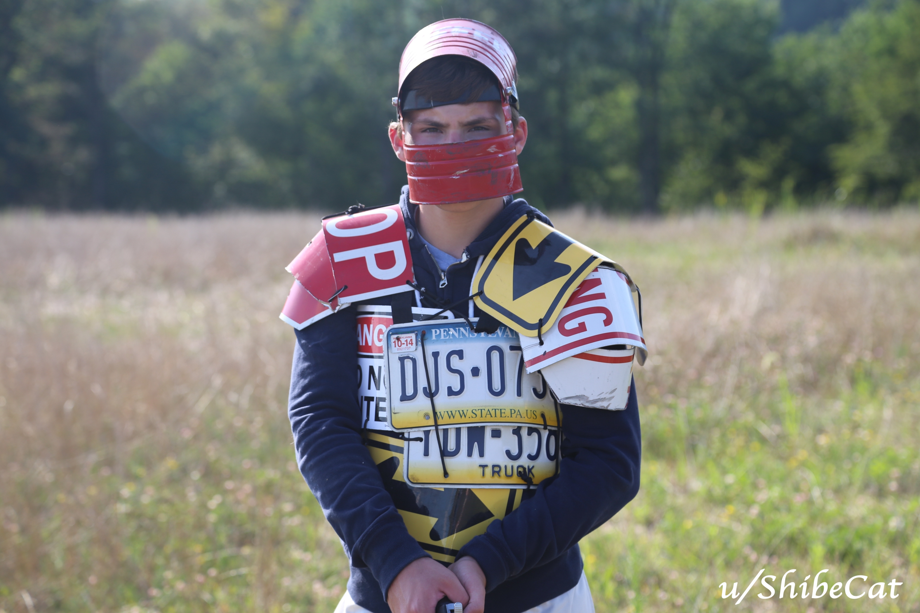 Community Update 197 Rust