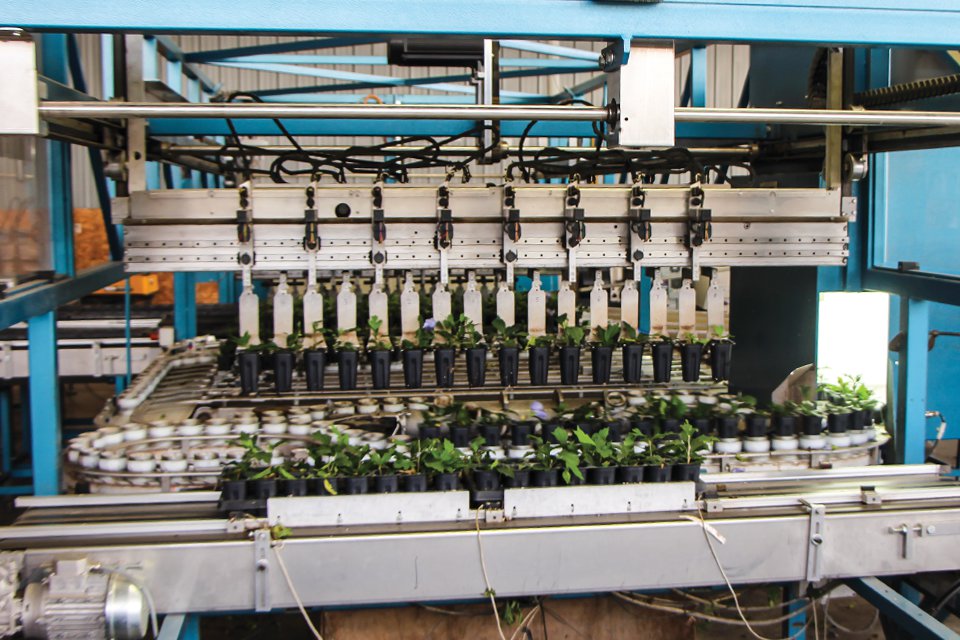 How Spring Meadow Nursery’s Custom Sorting Machine Keeps Its Young