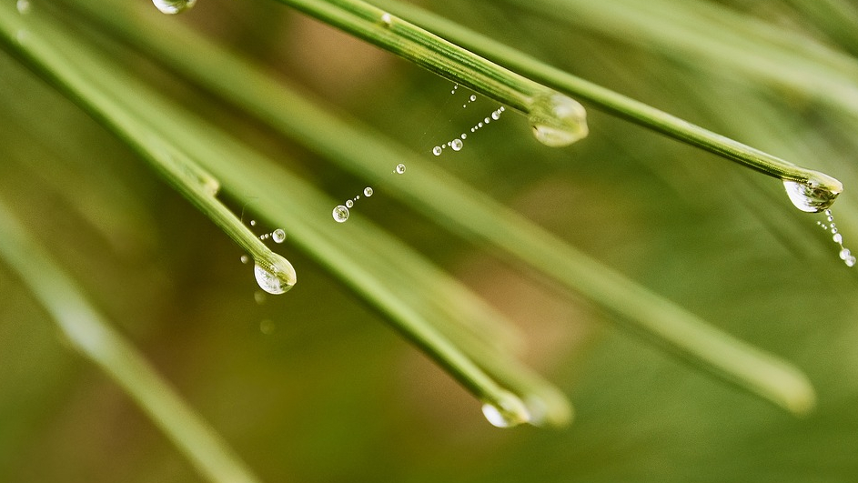 Does Heat Cause Wood To Swell at Herb Ferreira blog