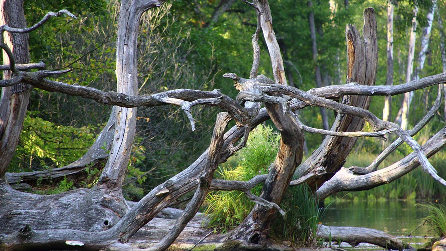 In which country is there a region known as Masuria, sometimes called