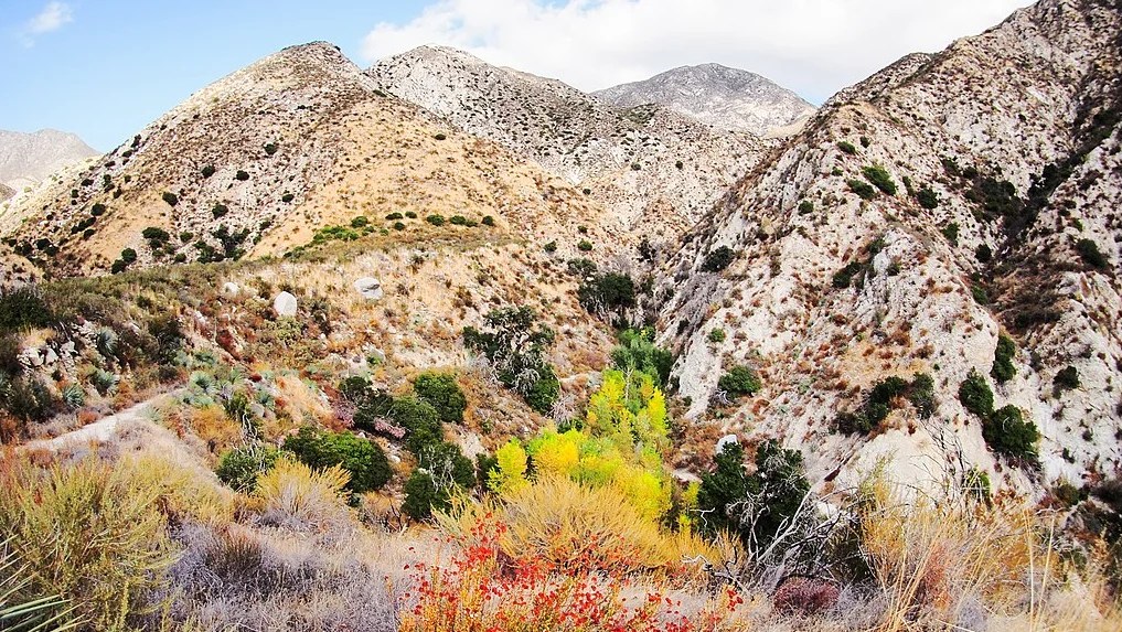 Bonanza 's opening reveals beautiful landscape shots. Where were they